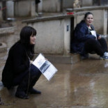 Pretenden sacrificar a 500 perros por un embargo de 12.000 €uros