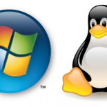 ¿Has leído la licencia de Microsoft Windows?