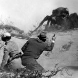 ¿Por qué no existen insectos de tamaño humano?