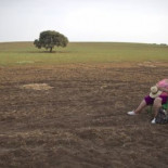 El Gobierno rechaza dejar tierras del estado a los parados para que las cultiven