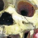 Atapuerca, la nueva meca del ocio