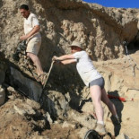 ¿Cómo se enfrenta un paleontólogo a 1.800 tortugas del Jurásico? Con una sierra mecánica y a pantalón quitado