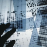 Los españoles tienen más rarezas genéticas que otros europeos