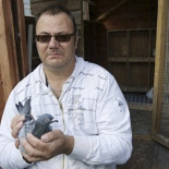 Le obligan a deshacerse de sus palomas mensajeras pero no puede porque siempre regresan