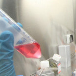 Los científicos temen que en 2013 no haya Plan Nacional de I+D+i