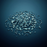 ¿Sabes distinguir un neuromito? Más del 75% de la población no