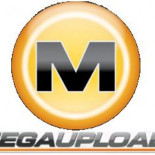 Megaupload: Estados Unidos ignoró el uso legítimo del servicio para poder cerrarlo