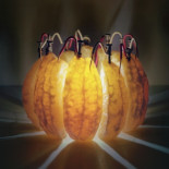 La luz contenida en una naranja