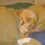 Detienen a una mujer sueca acusada de tener sexo con esqueletos humanos