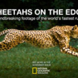 La carrera del corredor más veloz del mundo visto a cámara súper lenta