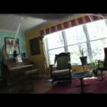 La doble vida de tu gato