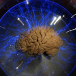 Un español confirma la relación directa entre los pesticidas y el Parkinson