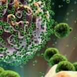 Los recortes en investigación paralizan la vacuna española contra el sida