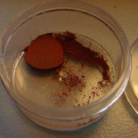 Una bacteria aislada en el río Tinto sobreviviría en Marte