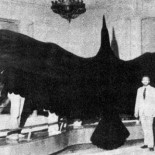 El ave de mayor tamaño que ha surcado jamás los aires