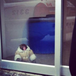 Enigmático mono vestido con un abrigo se pasea por el Ikea