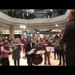 Flashmob en un centro comercial Islandés