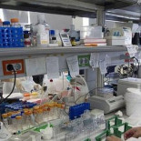 El Centro de Investigación Príncipe Felipe de Valencia aumenta la plantilla un 60% en 2012