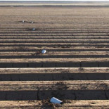 Marihuana a ‘cañonazos’: el último método de los narcos mexicanos para introducir droga en EEUU