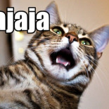 Cómo reír online en otros idiomas [EN]