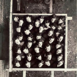 ¿Cuántas personas caben en unos 4 m² ?