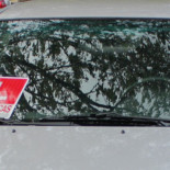 Cómo me saqué el carnet sin pisar una autoescuela