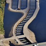 Un millón de peces suben con éxito por la escalera de presa más grande de Europa
