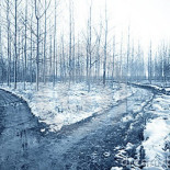 Mi cuñado quería ser fotógrafo