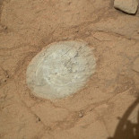 El robot Curiosity hace limpieza en Marte. Y envía la foto