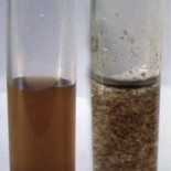 El óxido de grafeno absorbe los residuos radiactivos (ING)