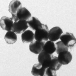 Nuevo cátodo de sulfuro multiplica por 5 la capacidad de las baterías de litio