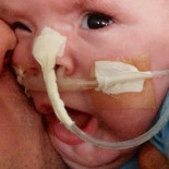 Carlota, una vida intensa en siete meses y medio