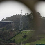 Corvera (Asturias) erradicará todos los eucaliptos y demás plantas invasoras del territorio