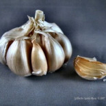 Demuestran que el ajo es 100 veces más efectivo que dos antibióticos, trabajando en una fracción de tiempo [ENG]