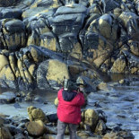 La cúpula de TVE frena en seco un documental sobre el Prestige