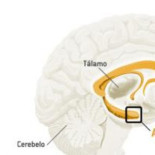 Consiguen asustar a "la mujer sin miedo"