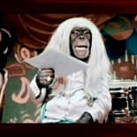 El caso Bárcena explicado por primates (Humor)