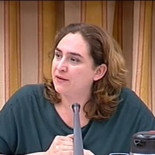 La PAH arremete contra la banca y la connivencia política ante a los diputados en el Congreso