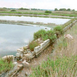 Científicos de todo el mundo condenan el "brutal ataque al patrimonio natural de Baleares"