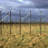 Hombrecillos verdes y estrellas de neutrones, la historia de lo que pudo ser el primer contacto con extraterrestres