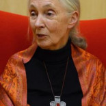 Jane Goodall: “Si yo fuera un toro estoy segura de que no querría participar en una lidia”