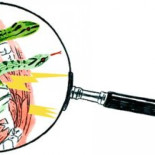 Javier Marías: Villanía léxica