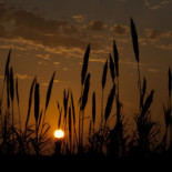 El banco concede un plazo de 4 años a Urdangarin para el pago de la hipoteca de Pedralbes