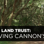 Estudiante inventa un gel que detiene las hemorragias [ENG]