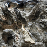 Las terribles imágenes de la destrucción de la Biblioteca Nacional de Iraq