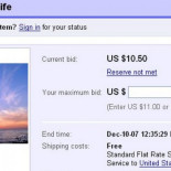 Las 10 subastas de eBay más increíbles