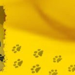 Inventa una caña de pescar eléctrica y casi muere electrocutado al probarla dentro del agua