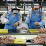 Charla con Papyrus, doctor en Ciencia y Tecnología de los Alimentos y autor del blog Gominolas de petróleo