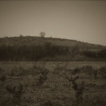 Documental: «Abuelo, te sacaré de aquí» [cat]