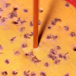 5 maneras de utilizar las estadísticas para mentirte [ENG]